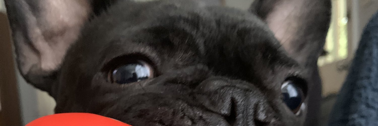 PlethoraJuke's profile banner image