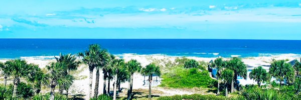 neovandy Profile Banner