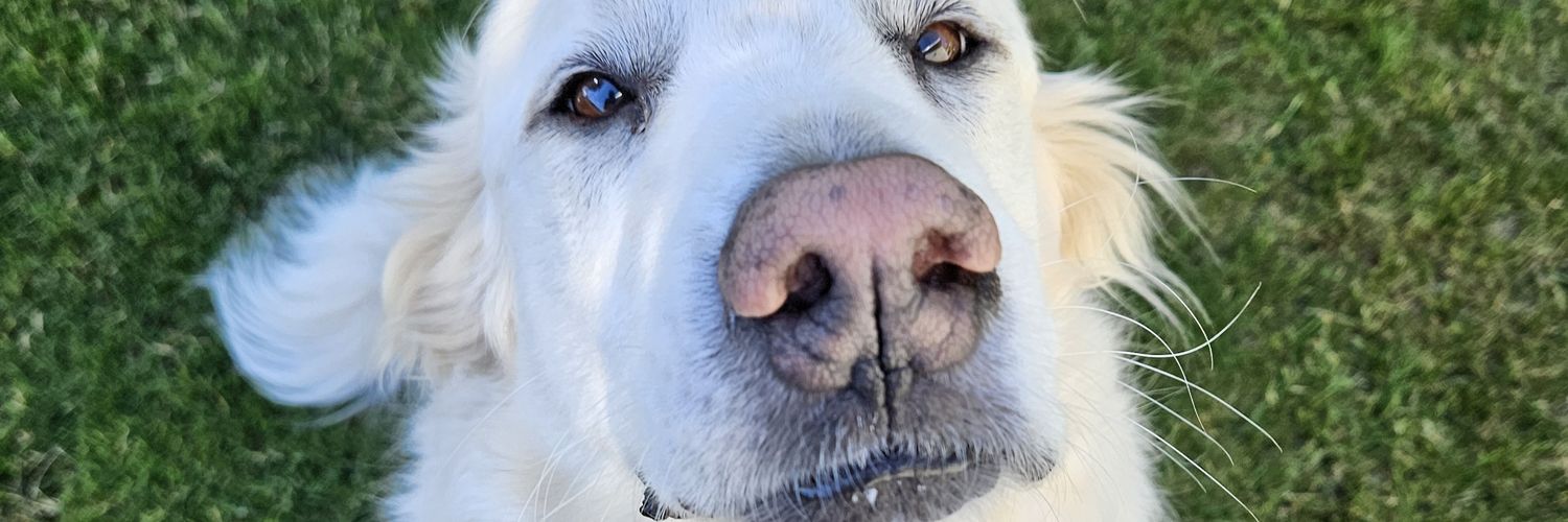 God help me to deal w/ this society. banner