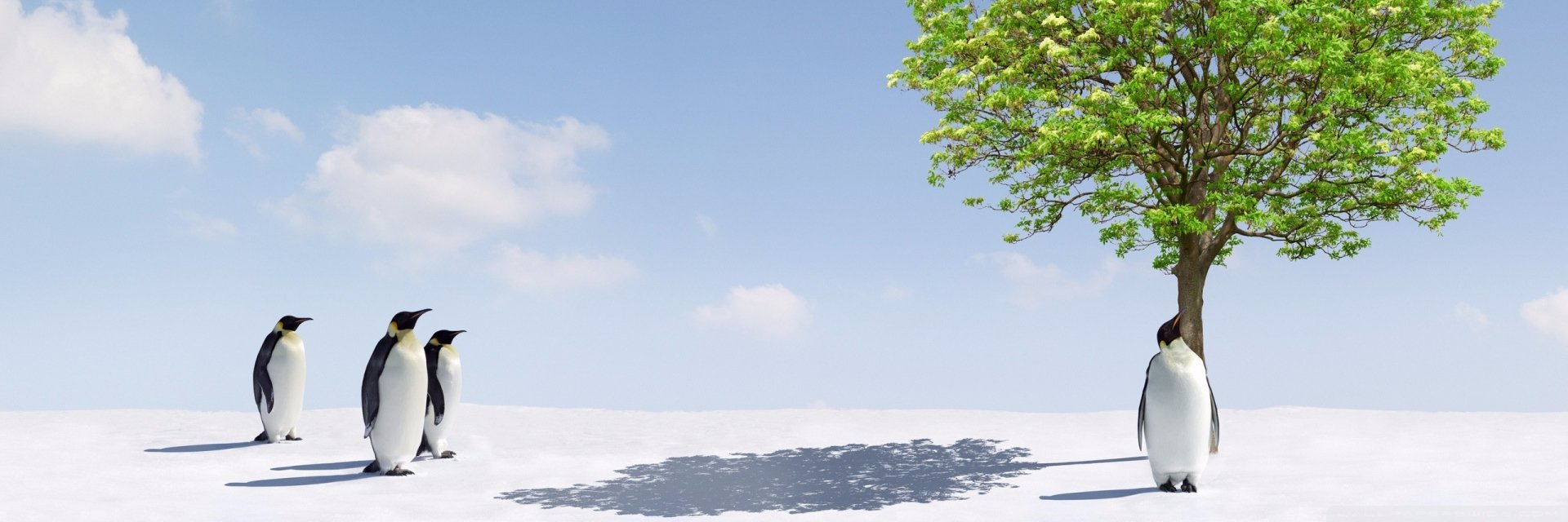 Lassikki's profile banner image