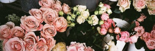 lexiosowski's profile banner image