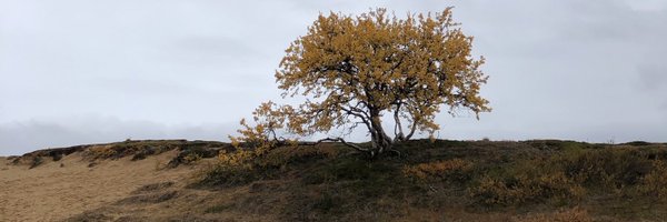 k_rantasaari Profile Banner