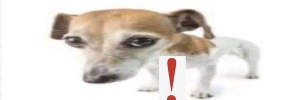 le_pikus Profile Banner