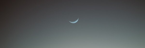 laynetrafton's profile banner image
