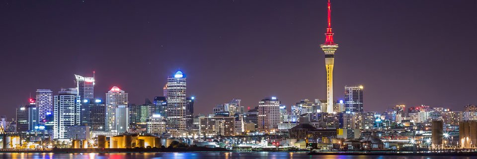 Steve Randall banner