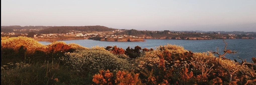 Nuria_Iba's profile banner image