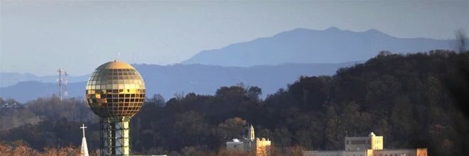 thewholeidea's profile banner image