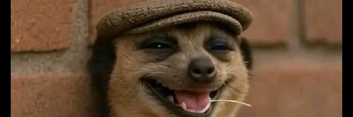 Malaki Anteedote banner