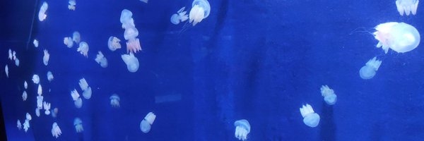 onism179 Profile Banner
