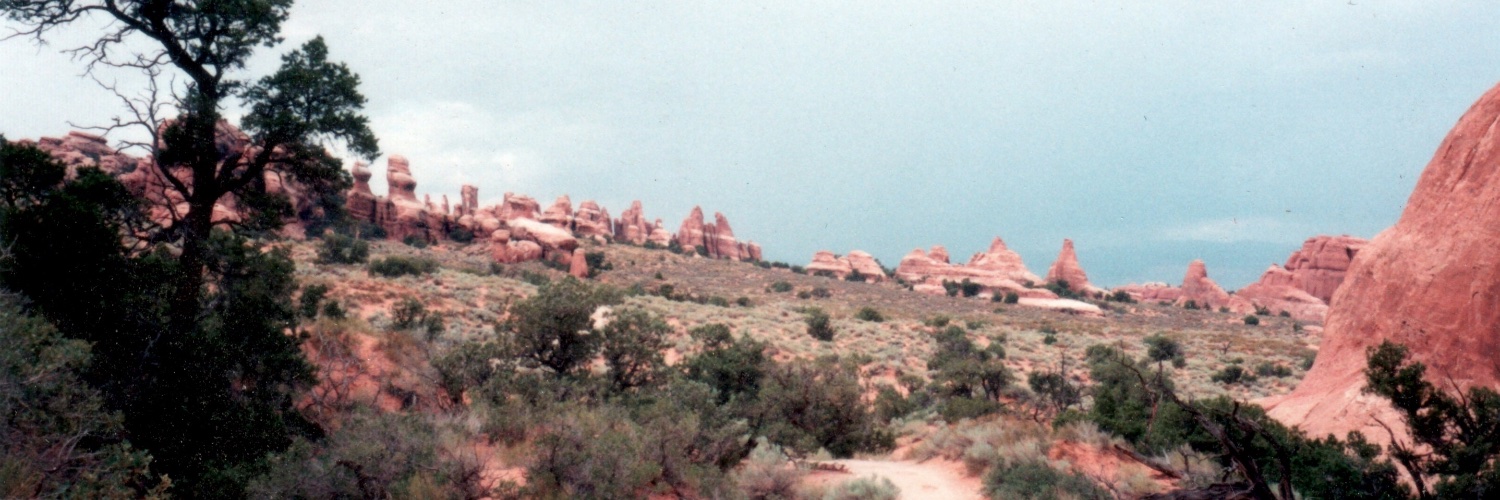 David Gregory banner