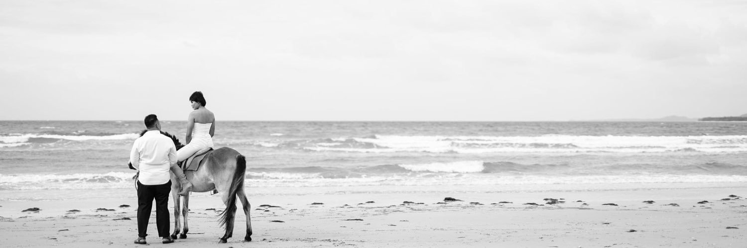 zforzea's profile banner image