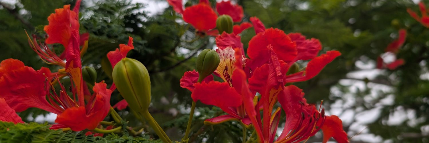 glava_murmanska's profile banner image