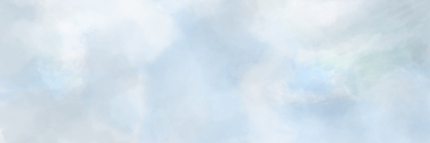 shea banner