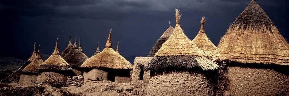 Souley@🌿🌿🌿 banner