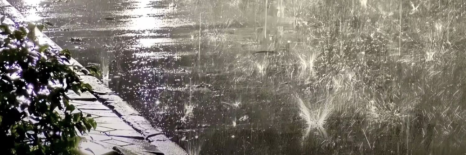 y120996's profile banner image