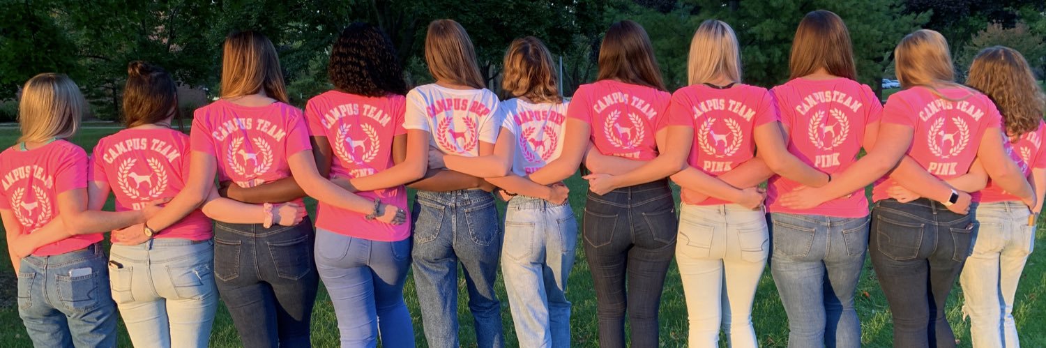 CMUVSPINK's profile banner image