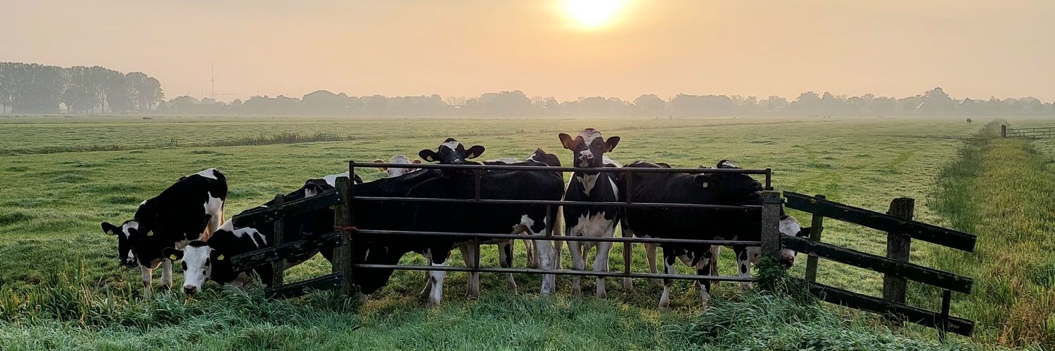 H3ssi3's profile banner image