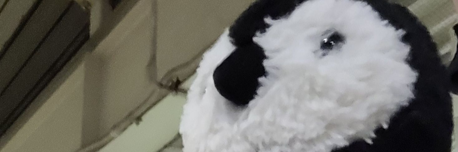 Lee Bou And Stuff banner