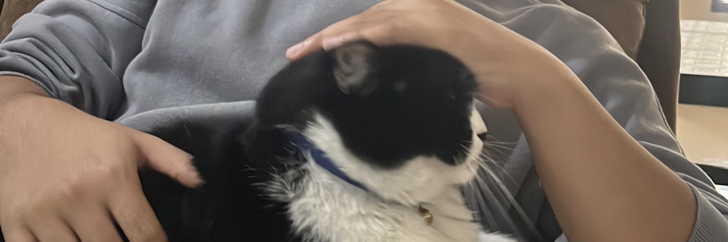 fjeliscatus's profile banner image