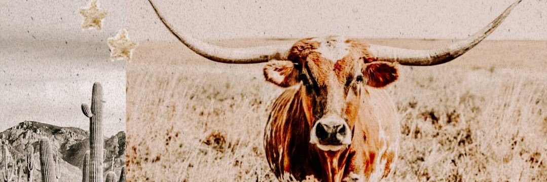 alyxandreaaa's profile banner image