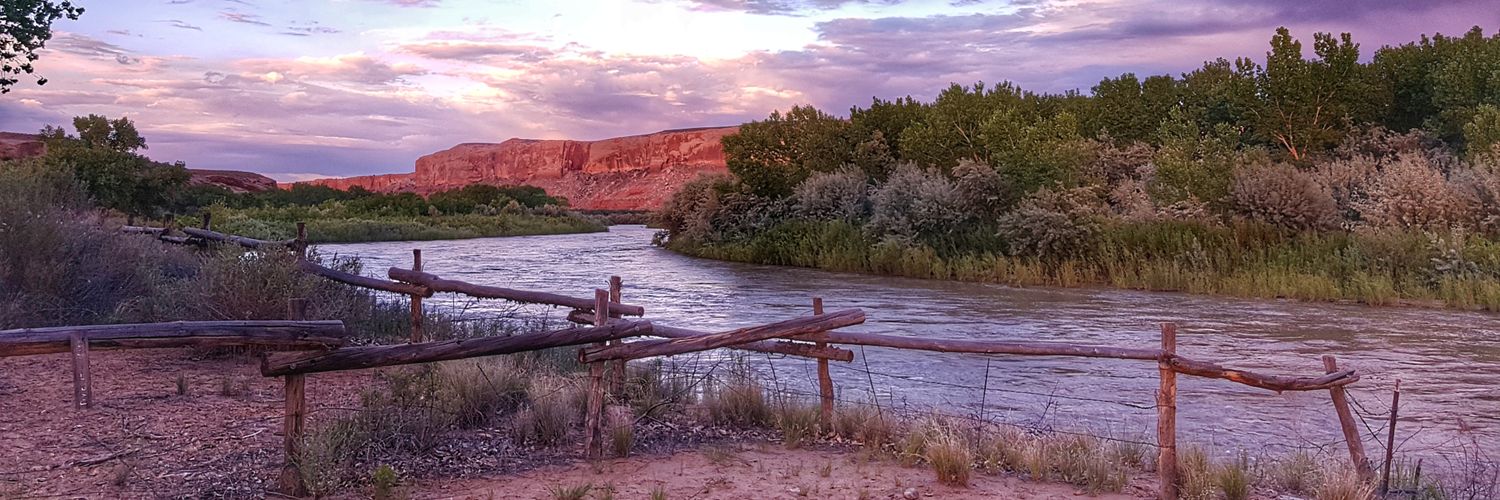 Daniël Bareman banner