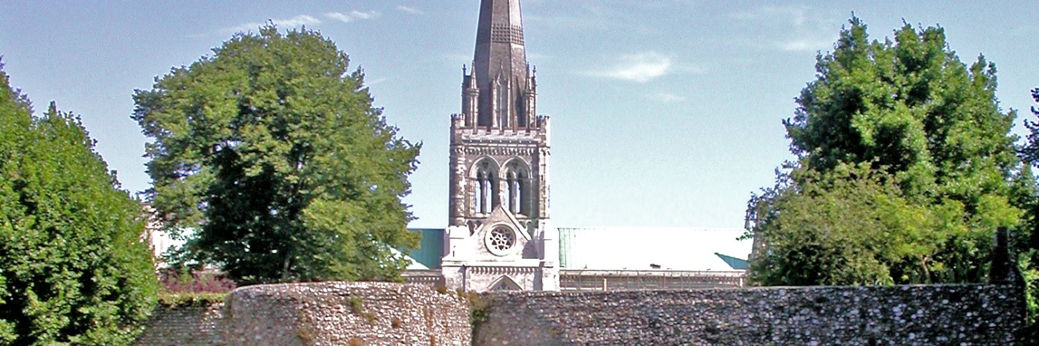 Chichester & District Archaeology Society (CDAS) banner