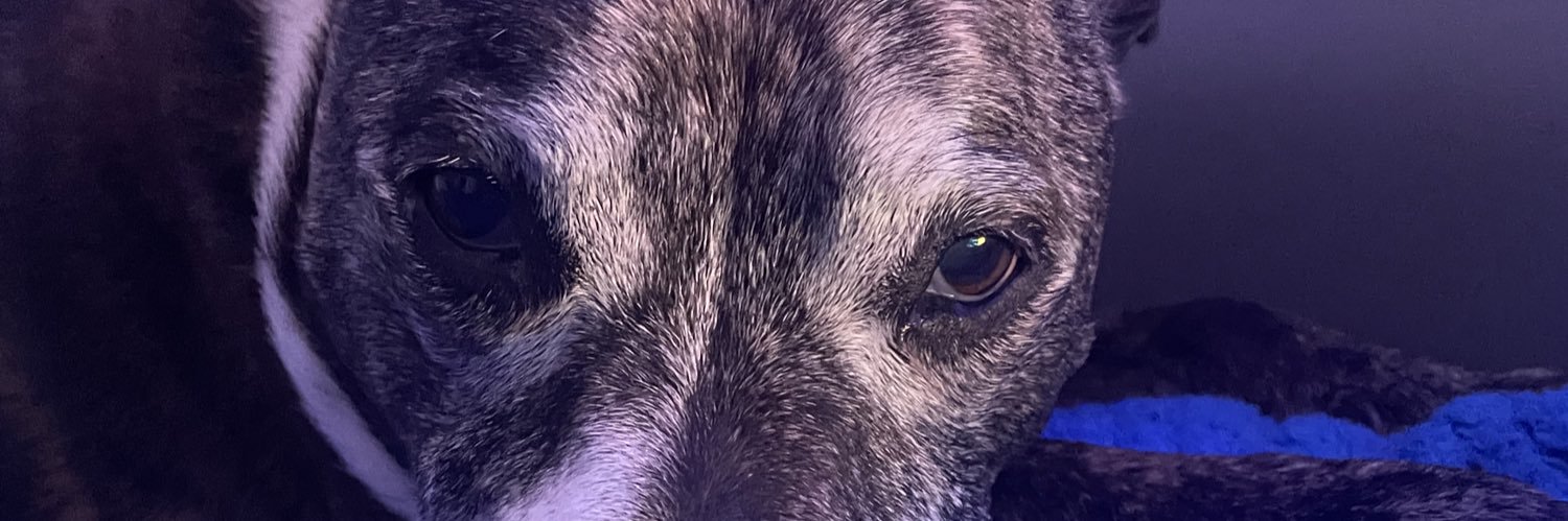 jlong99_'s profile banner image
