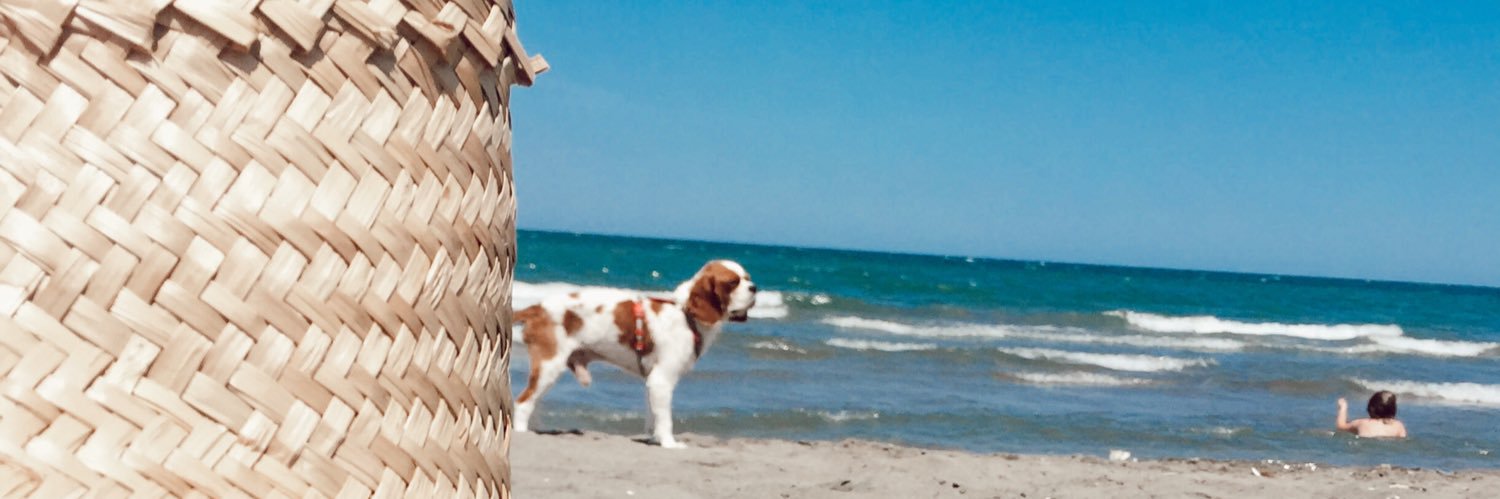 NazliAltindal's profile banner image