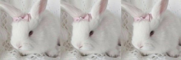 wonyounic Profile Banner