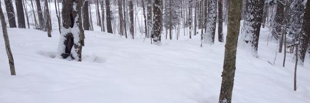MigNaughton's profile banner image