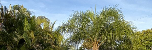 DebinHoSo Profile Banner