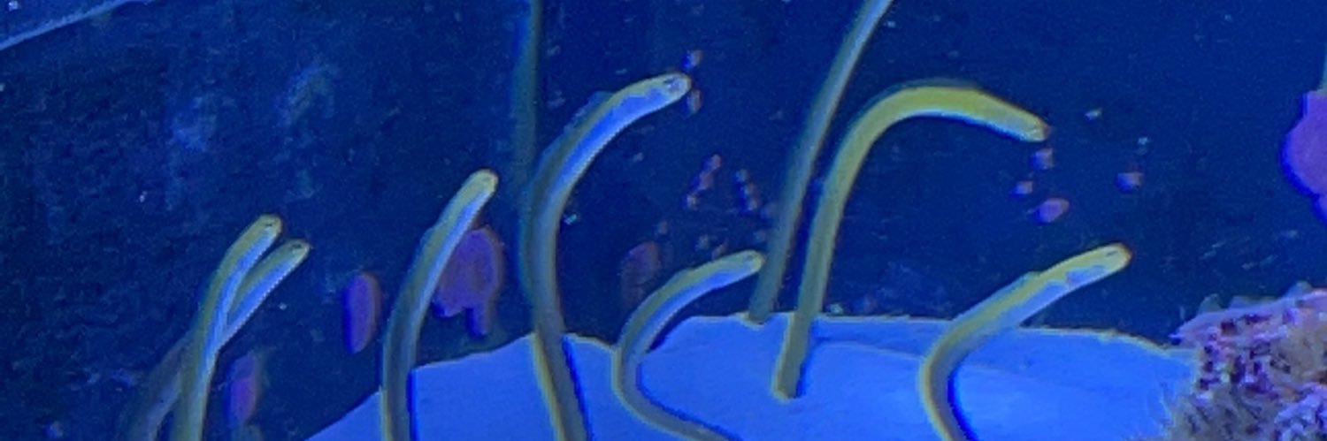 yammygf's profile banner image