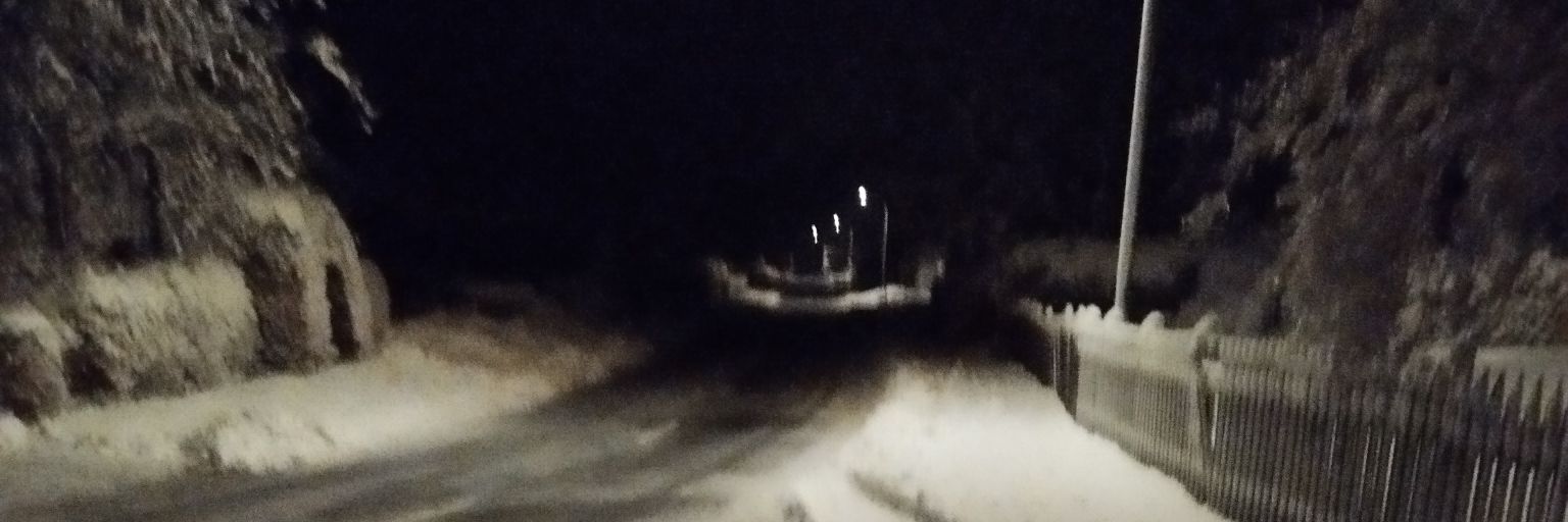 Claudia Quinta banner