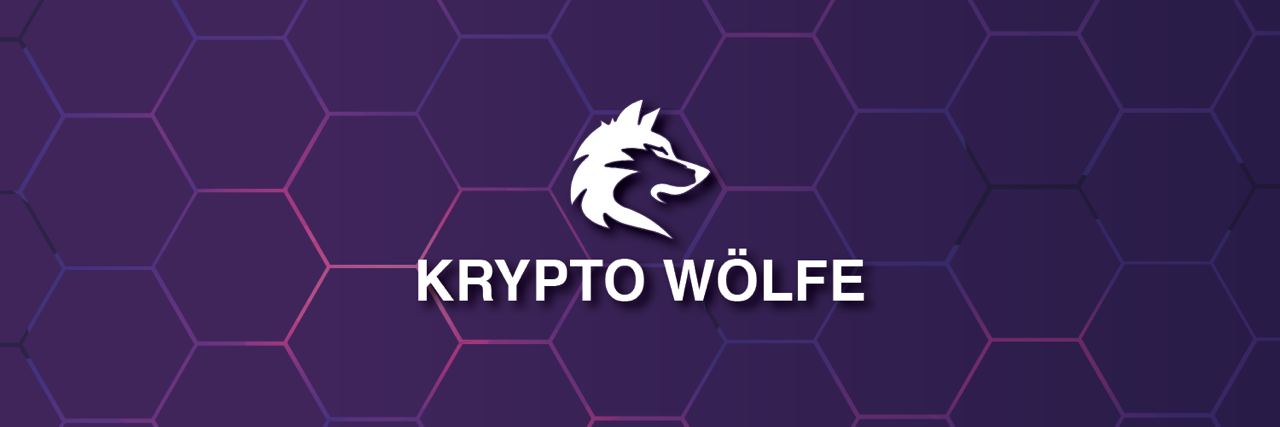 Robin Wolf | YouTuber's banner