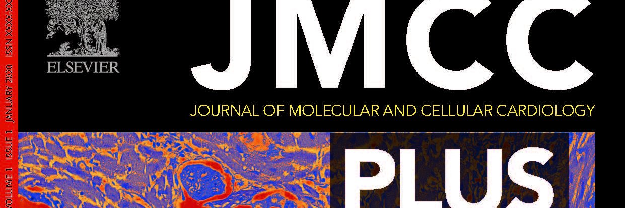 JMCC Plus's banner