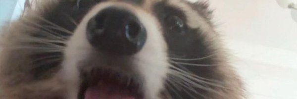 astrogrowl Profile Banner