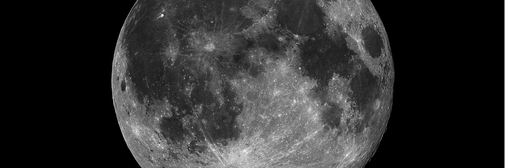 amylkar's profile banner image