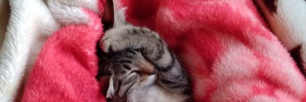 Abdk1234567 Profile Banner