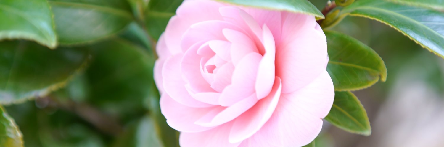 akilovememory's profile banner image
