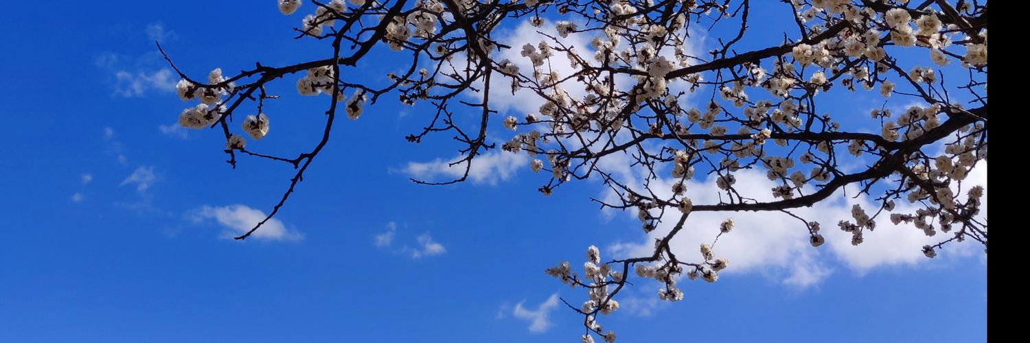 Anselm Martyres banner