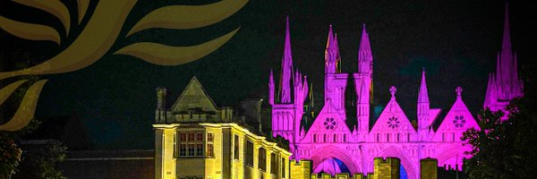 BoroLibDems Profile Banner