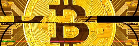 SuiGlobalFan's profile banner image