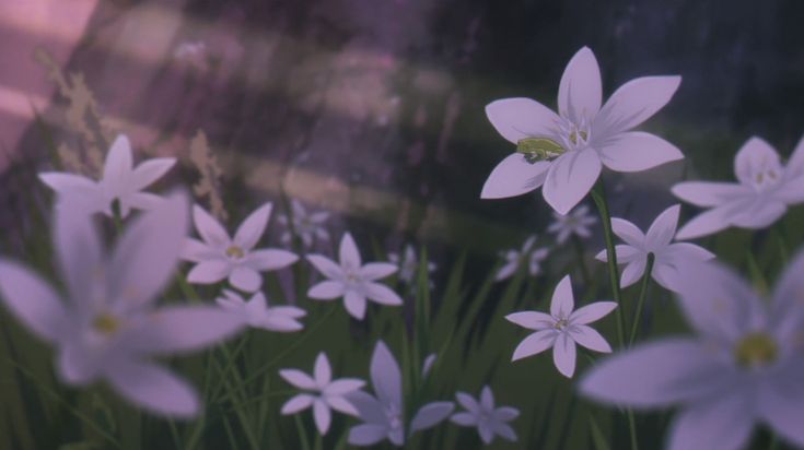 Lewalance (Rin’s Version) banner