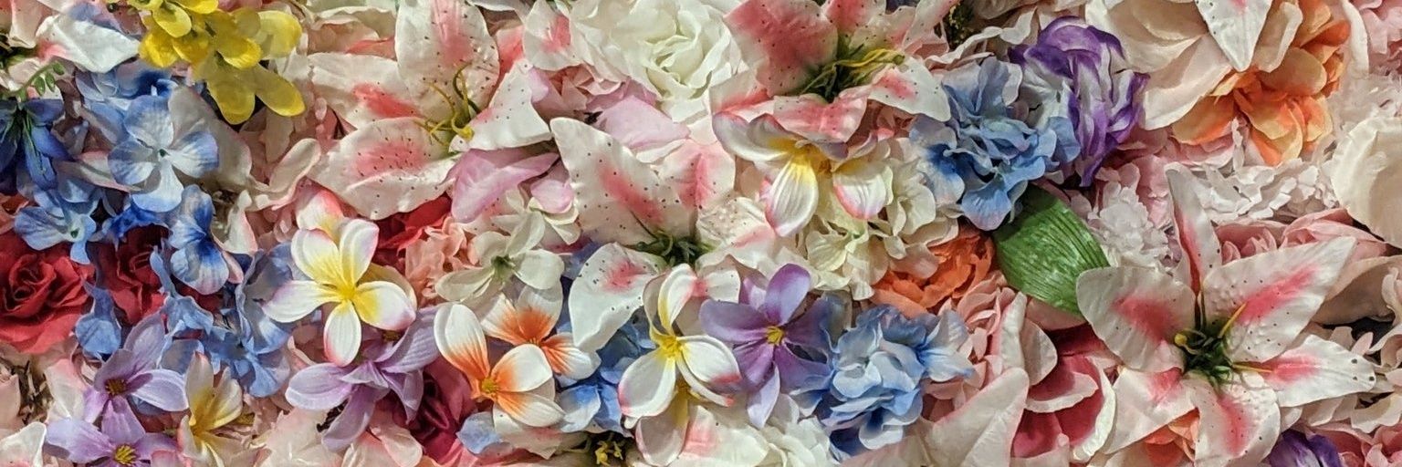 descompilada's profile banner image