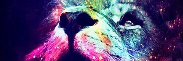 valentinag47's profile banner image