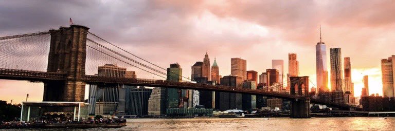 Ivan C Aivasovsky MD banner