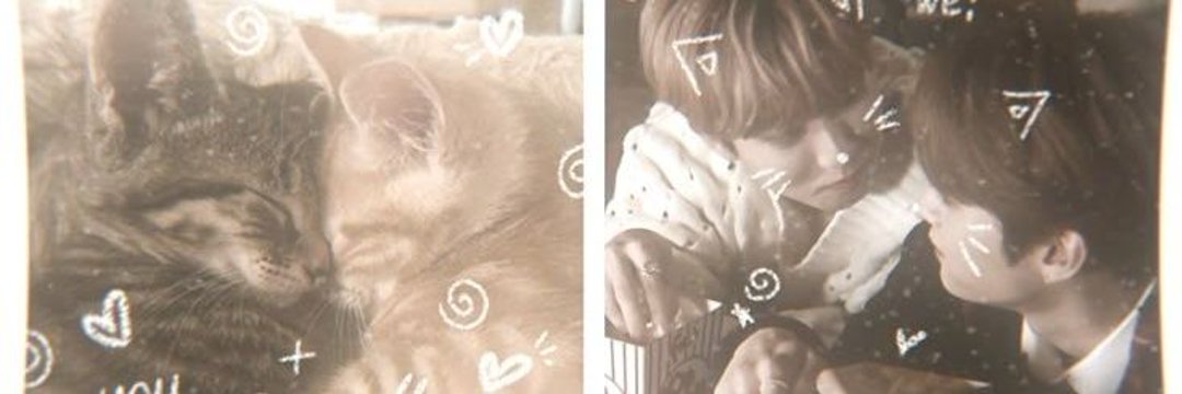 Skye🌸🧩 ๋࣭ ⭑⚝ banner