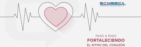 RCSOMEEC Profile Banner