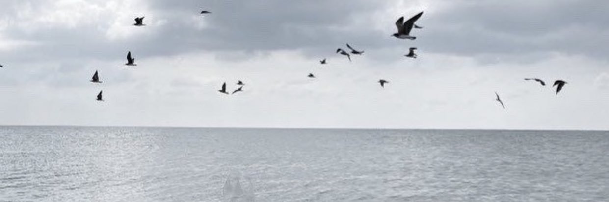 axd_1996's profile banner image