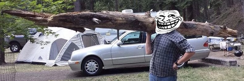 Ran Braden - Author banner